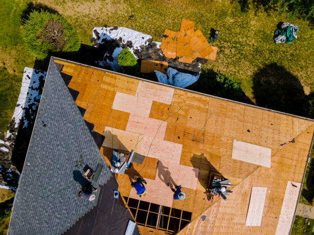 Roof Waterproofing Services in Marshfield, MO