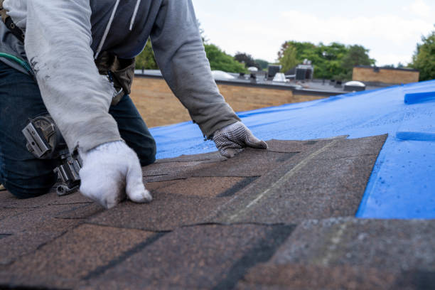 Best Roof Leak Repair  in Marshfield, MO