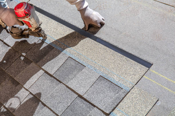 Best Roof Repair Services  in Marshfield, MO