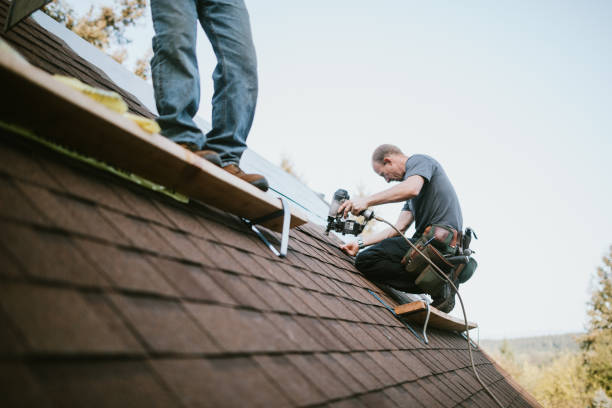 Best Gutter Installation and Roofing  in Marshfield, MO